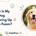 Why Is My Dog Throwing Up White Foam?