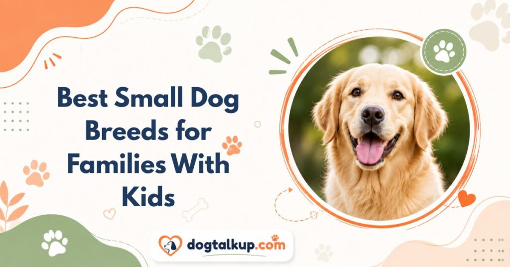 Best Small Dog Breeds for Families With Kids
