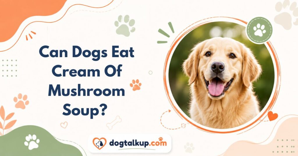 Can Dogs Eat Cream Of Mushroom Soup?
