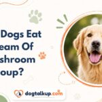 Can Dogs Eat Cream Of Mushroom Soup?