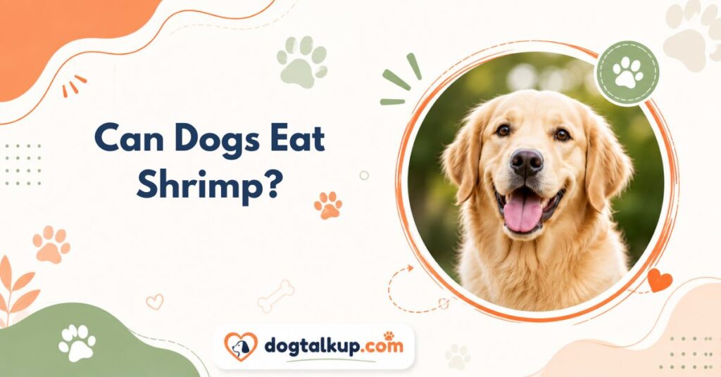 Can Dogs Eat Shrimp?