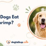 Can Dogs Eat Shrimp?