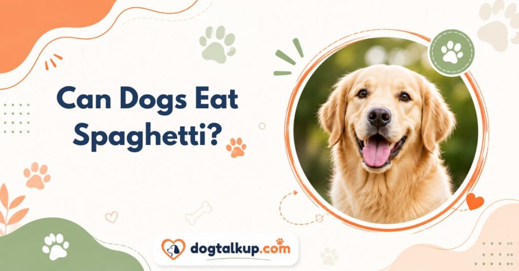 Can Dogs Eat Spaghetti