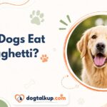 Can Dogs Eat Spaghetti