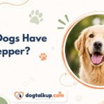 Can Dogs Have Pepper?