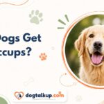 Do Dogs Get Hiccups?