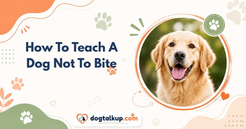 How To Teach A Dog Not To Bite