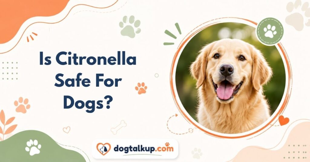 Is Citronella Safe For Dogs?