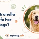 Is Citronella Safe For Dogs?