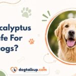 Is Eucalyptus Safe For Dogs?