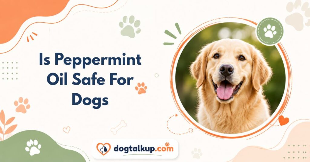Is Peppermint Oil Safe For Dogs?