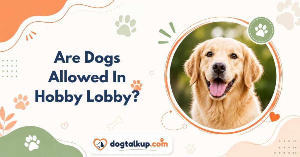 Are Dogs Allowed In Hobby Lobby?