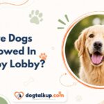 Are Dogs Allowed In Hobby Lobby?