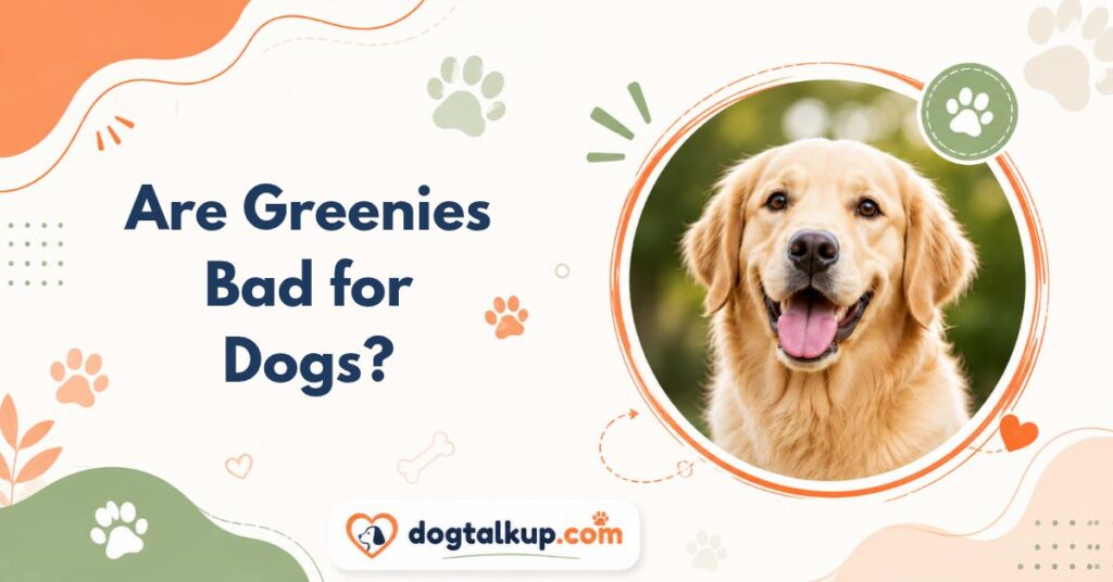 Are Greenies Bad for Dogs?