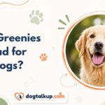 Are Greenies Bad for Dogs?