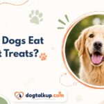 Can Dogs Eat Cat Treats?
