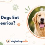 Can Dogs Eat Cheerios?
