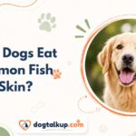 Can Dogs Eat Salmon Fish Skin?