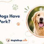 Can Dogs Have Pork?