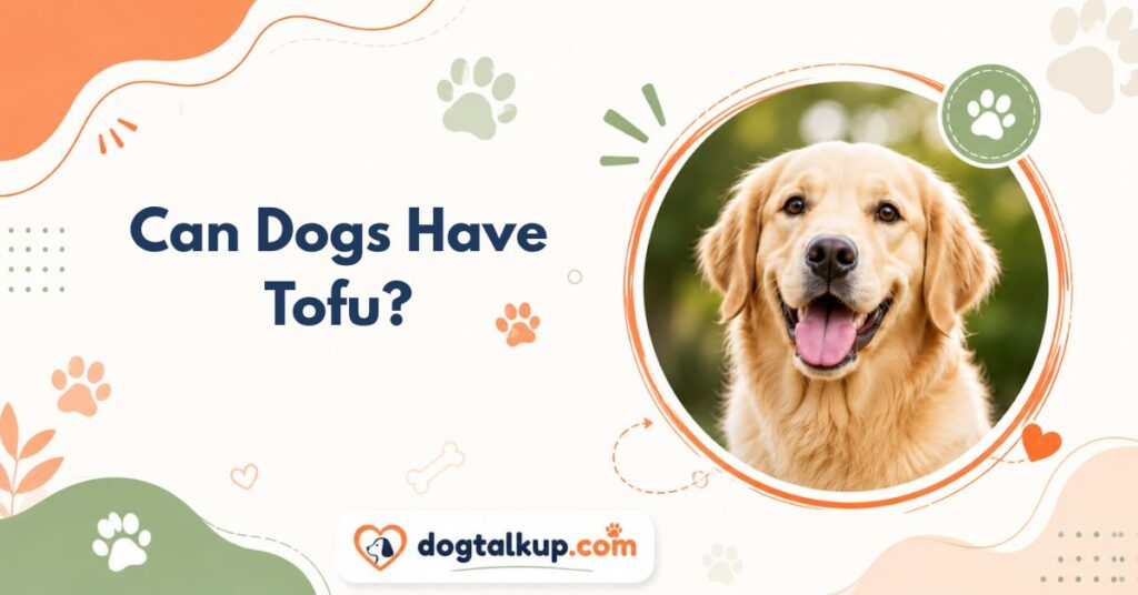 Can Dogs Have Tofu?