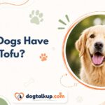 Can Dogs Have Tofu?