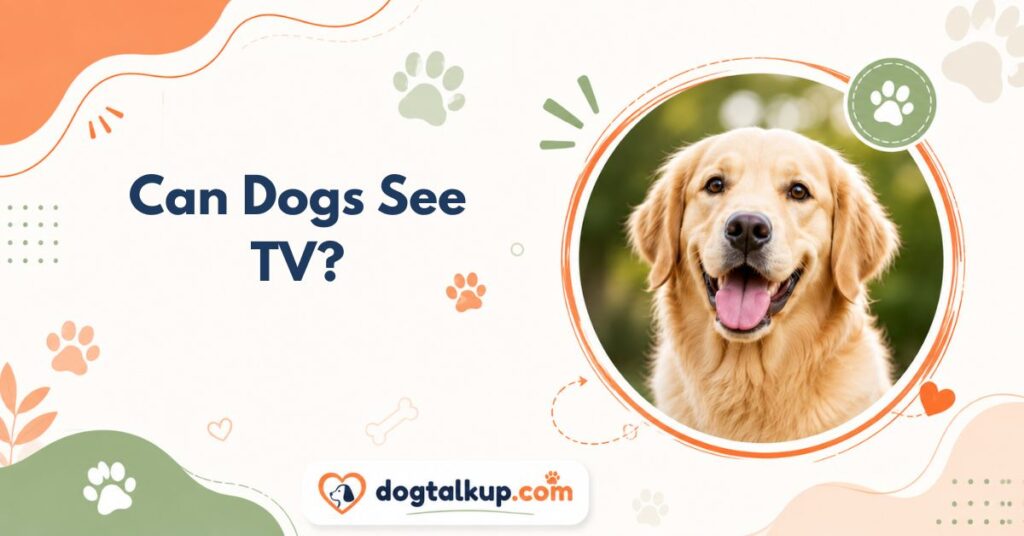 Can Dogs See TV?