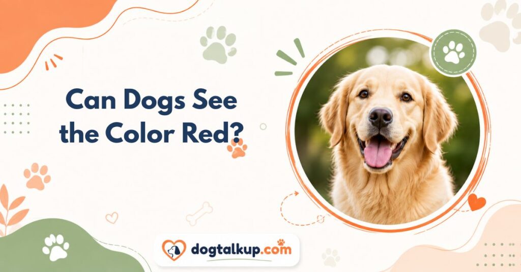 Can Dogs See the Color Red?
