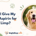 Can I Give My Dog Aspirin for a Limp?