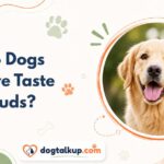 Do Dogs Have Taste Buds?