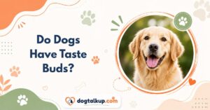 Do Dogs Have Taste Buds?