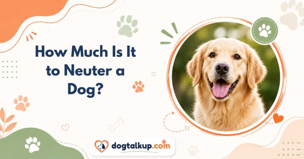 How Much Is It to Neuter a Dog?
