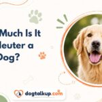 How Much Is It to Neuter a Dog?
