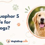 Is Aquaphor Safe for Dogs?