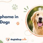Lymphoma in Dogs