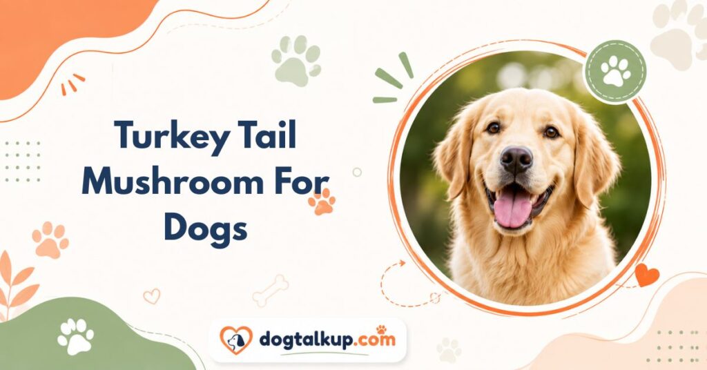 Turkey Tail Mushroom For Dogs