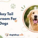 Turkey Tail Mushroom For Dogs