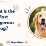 What Is the Most Dangerous Dog?