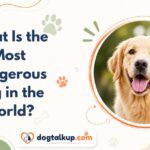 What Is the Most Dangerous Dog in the World?