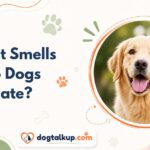What Smells Do Dogs Hate?