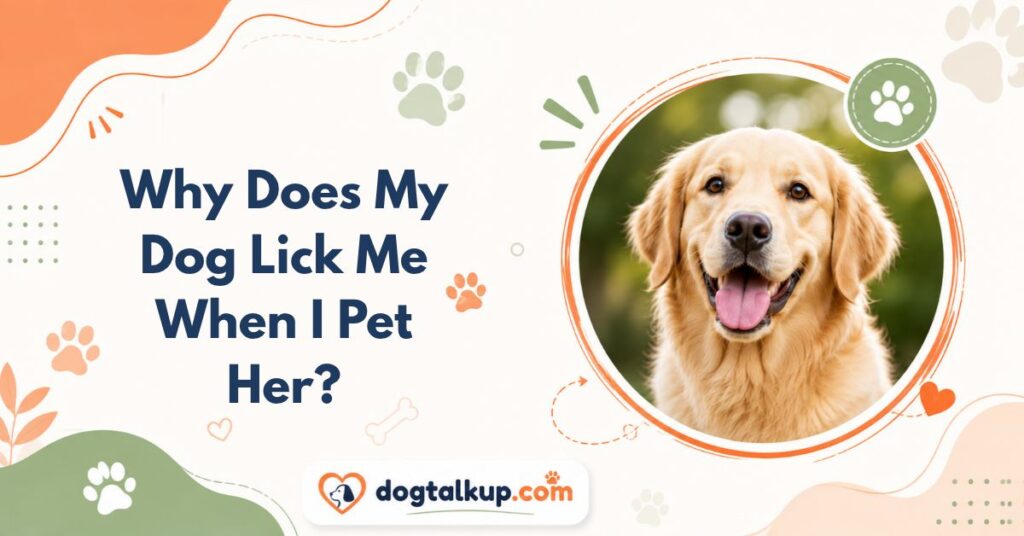 Why Does My Dog Lick Me When I Pet Her?
