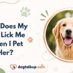 Why Does My Dog Lick Me When I Pet Her?