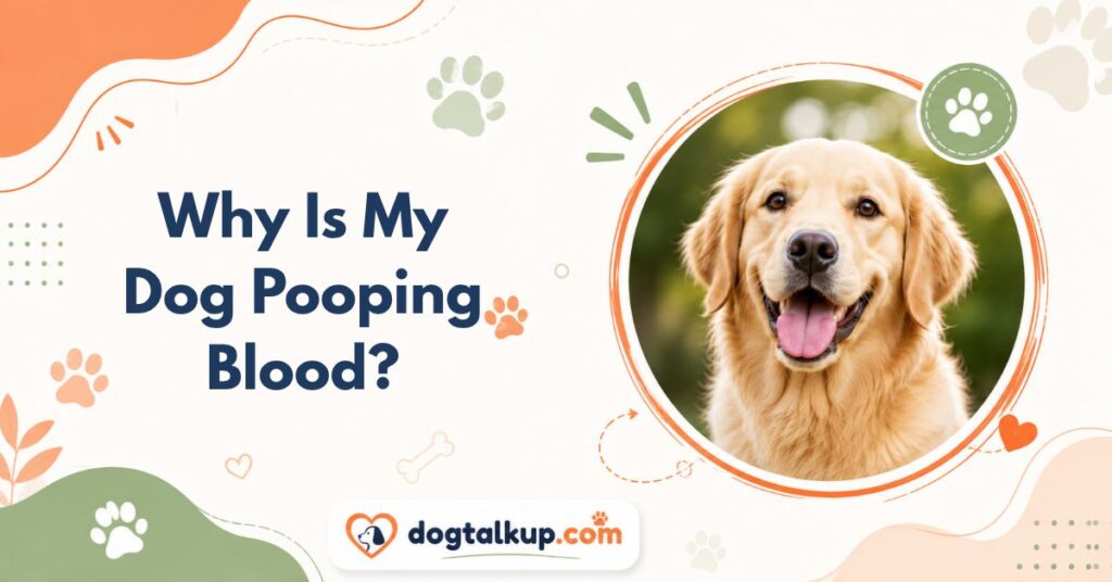 Why Is My Dog Pooping Blood?