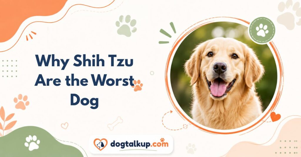 Why Shih Tzu Are the Worst Dog