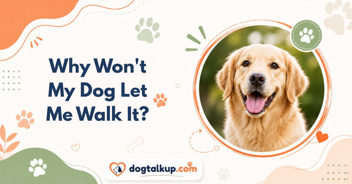 Why Won't My Dog Let Me Walk It?